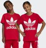 Adidas Originals T shirt TREFOIL Uniseks online kopen