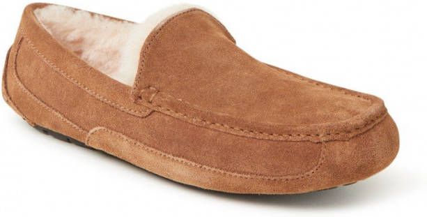 Ugg Ascot Pantoffels voor Heren in Brown,, Suede online kopen