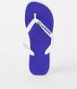 Havaianas Slippers Brasil Logo 4110850.2711.M19 Blauw / Wit maat 41/42 online kopen