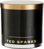Salon Discounter Ted Sparks Outdoor Candle Double Magnum online kopen
