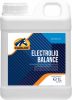 Cavalor Electroliq Balance 1 kg Voedingssupplement 1 l Vloeibaar online kopen