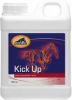 Cavalor Kick Up Fitheid Voedingssupplement 1 l 1 kg online kopen