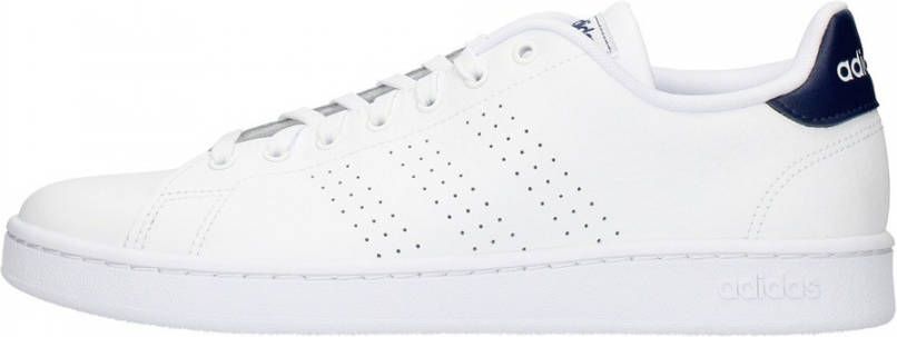 Adidas Advantage sneakers wit/blauw Dames - Vindjeschoen.nl