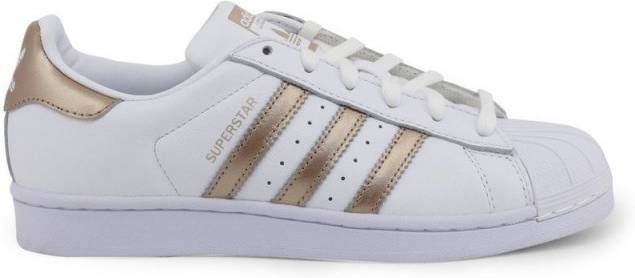 Adidas Originals Superstar Dames Wit Dames - Vindjeschoen.nl