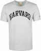 Champion T shirt Harvard , Grijs, Heren online kopen