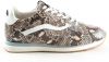 Floris van Bommel Figgi leren sneakers slangenprint bruin online kopen