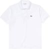 Lacoste Poloshirt met harmonieus gekleurde krokodil op borsthoogte(1 delig ) online kopen