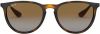 Ray-Ban Erika Classic Polarized Sunglasses Ray Ban, Bruin, Dames online kopen