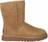 UGG Classic Short II Laarzen 1016223/CHE Bruin-36 maat 36 online kopen