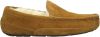 Ugg Ascot Pantoffels voor Heren in Brown,, Suede online kopen