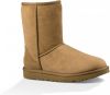 Ugg Classic II Short Boot voor Dames in Brown,, Shearling online kopen