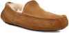 Ugg Ascot Pantoffels voor Heren in Brown,, Suede online kopen