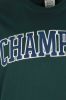 Champion T Shirt Logo Donkergroen , Groen, Heren online kopen