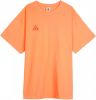Nike T shirt uomo acg ss tee logo bq7342.842 online kopen