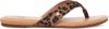 Ugg Tuolumne Leopard Flip Flop voor Dames in Brown,, Calf Hair online kopen