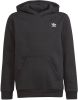 Adidas Adicolor Essential Over The Head Basisschool Hoodies online kopen