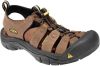 Keen leren outdoor sandalen Newport online kopen