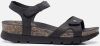Panama Jack Sulia Basics B2 sandalen zwart online kopen